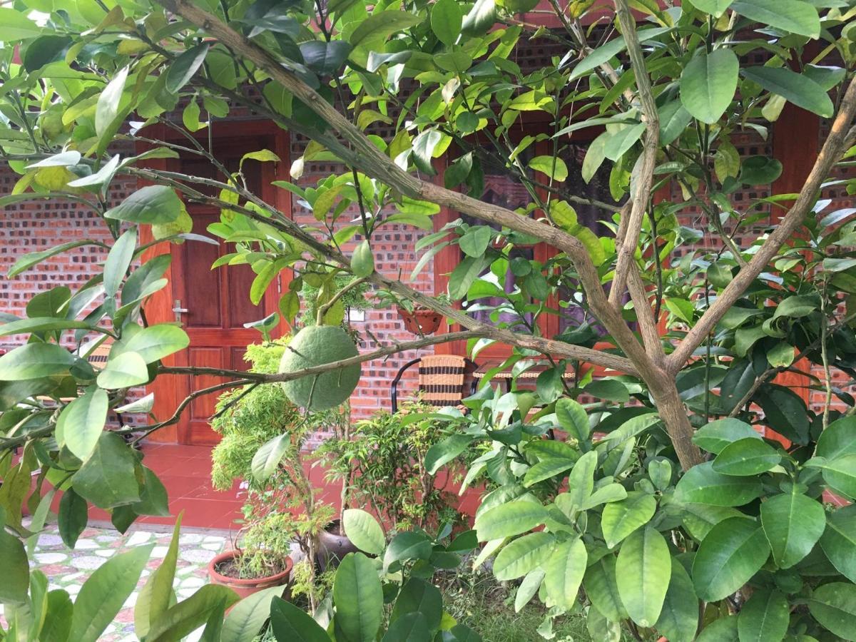 Tam Coc Thanh Dat Homestay Ninh Binh Exterior foto