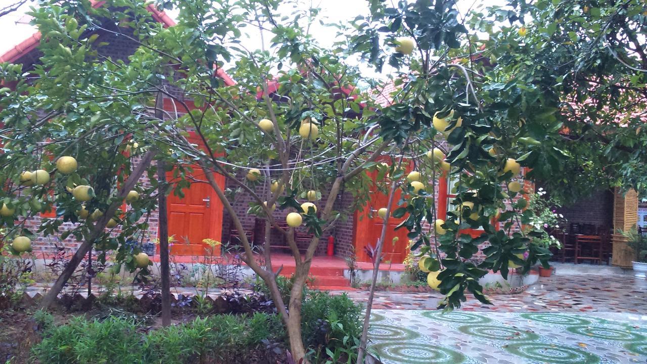 Tam Coc Thanh Dat Homestay Ninh Binh Exterior foto